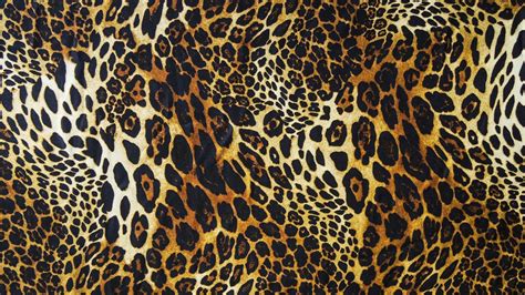leopard print wallpaper laptop